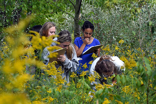 Studying in the Nature Preserve