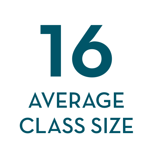 16 Average class size